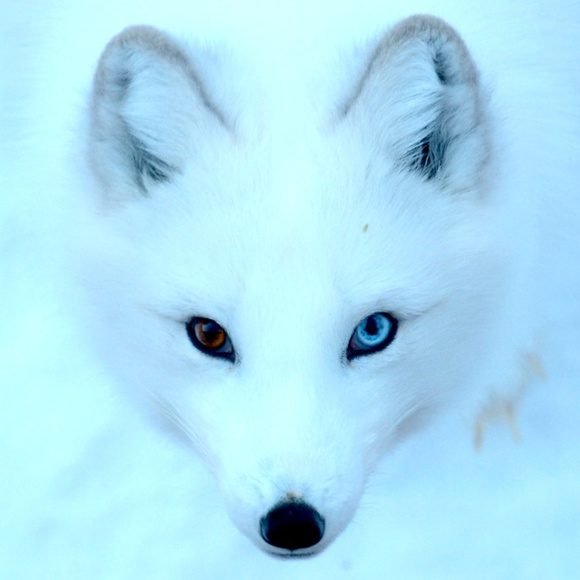 Summer specials!!! - Picture 5 of 5